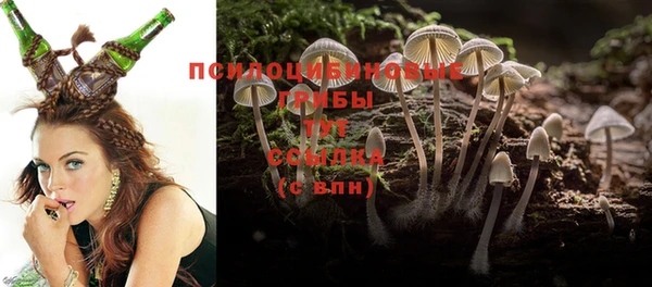 первитин Касимов