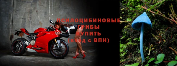 альфа пвп Карталы